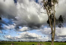 开云体育APP下载-墨西哥男篮完胜凯尔特人B队，费沃斯打破历史纪录，篮球世界迎来震撼之夜