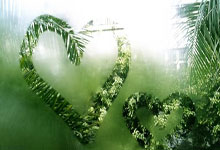 开云体育平台APP-TeamWE力克BLG，Zeus三分雨点燃全场——逆境中的荣耀时刻